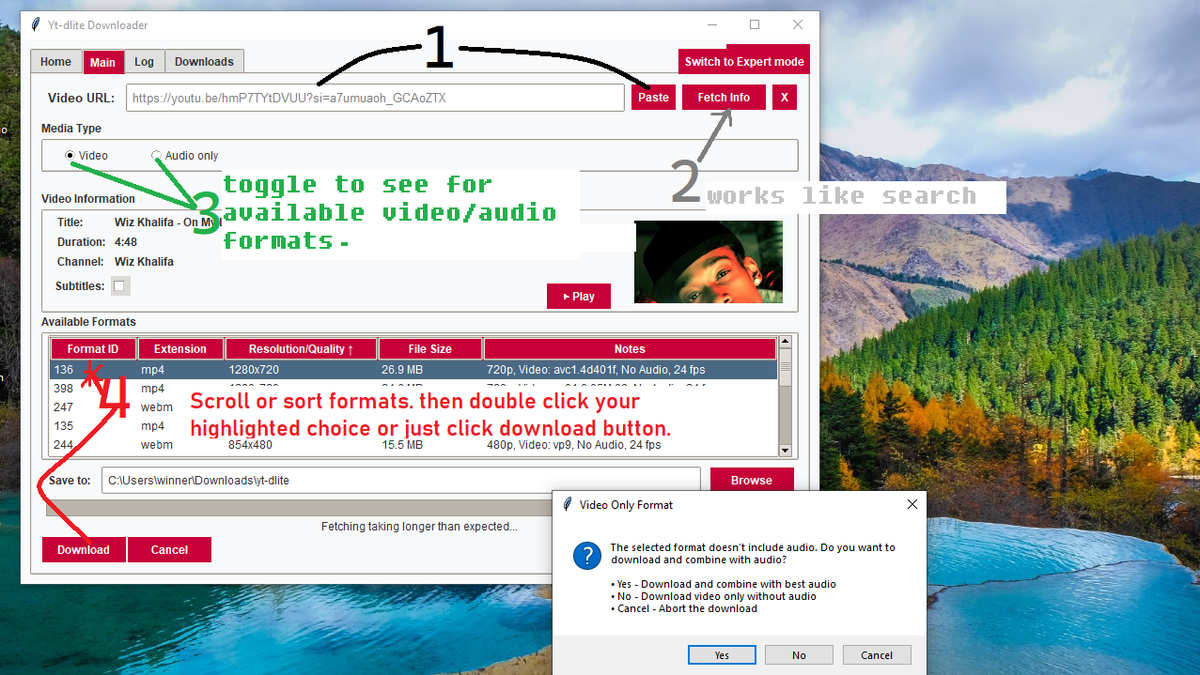 Main tab in professional mode